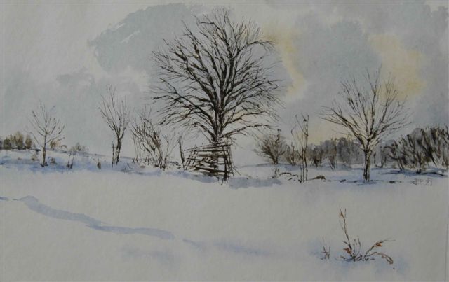 1991 II - Nad včelínem za Vyskytnou