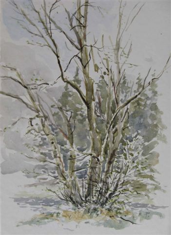 1991 V - Olše u Sykovce