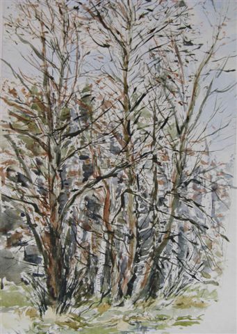 1991 V - Zas u Sykovce