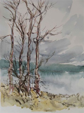 1991 XII - Břeh Medlova