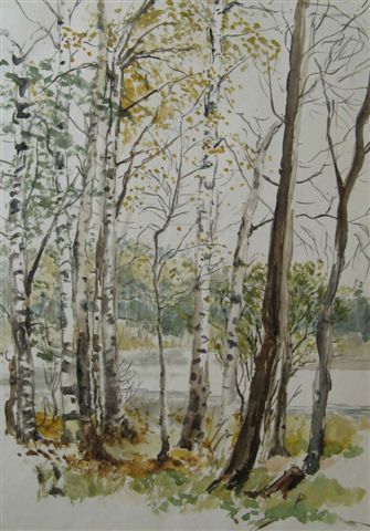 U Sykovce
