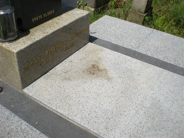 DSCN0786