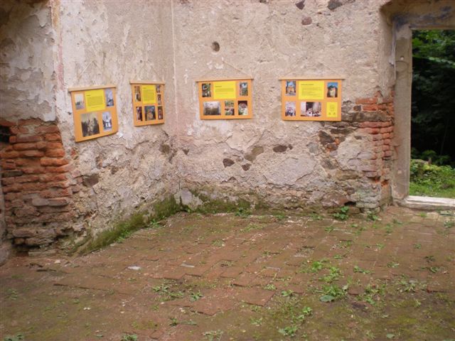 12 výstavka